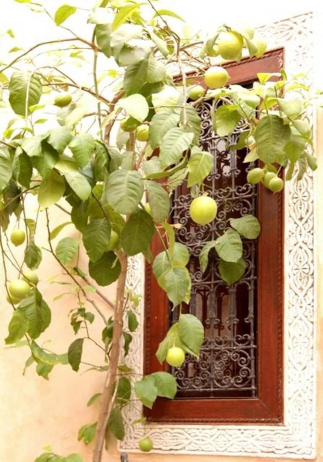 Riad Dar Rania Marrakech Medina Jemaa El Fna Marrakesch Exterior foto